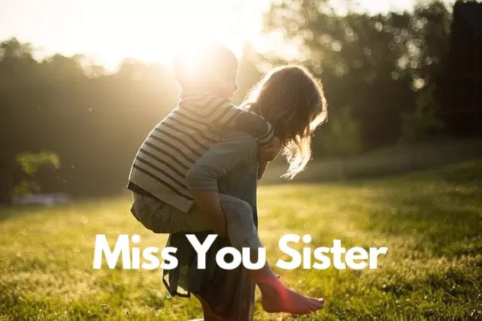 कुछ और Miss You Sister Shayari दिल से