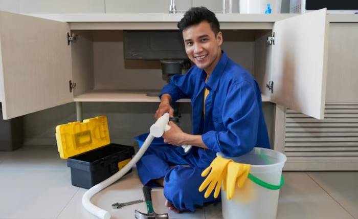 How Professional Plumbing Services Keep Homes Running Smoothly Screenshot 4